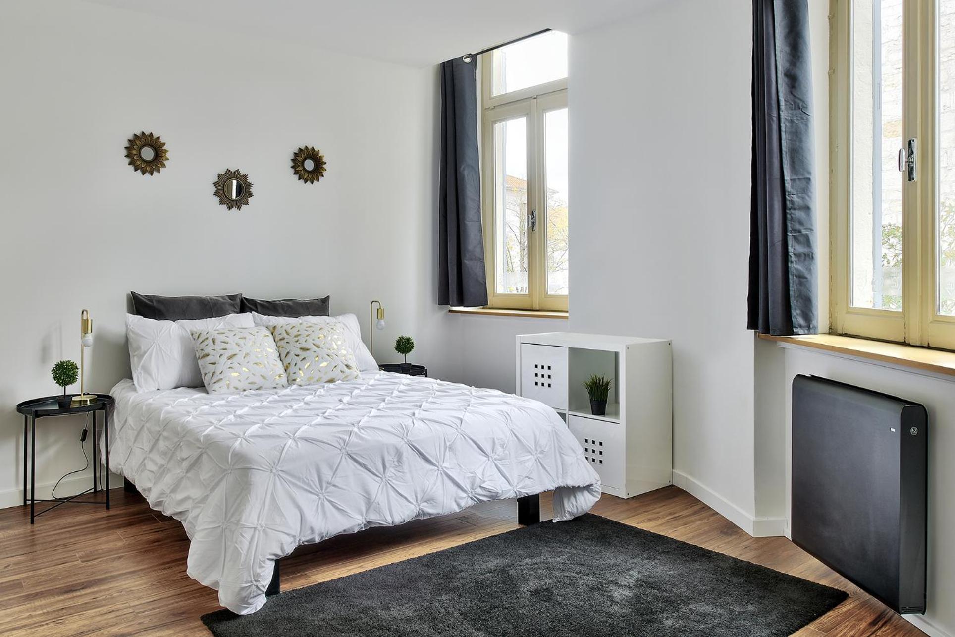 Appartement Le Somptueux Bressan - Hyper-Centre Бург-ан-Бресс Екстер'єр фото